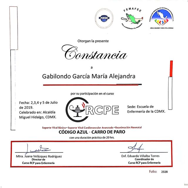Ampliar imagen: certificate 6