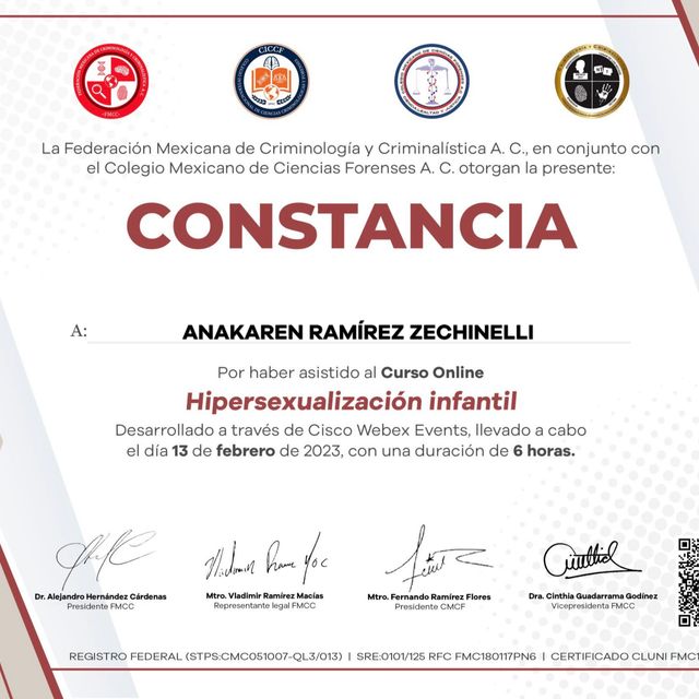 Ampliar imagen: certificate 3