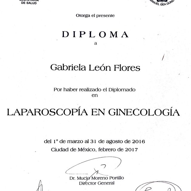 Ampliar imagen: certificate 2