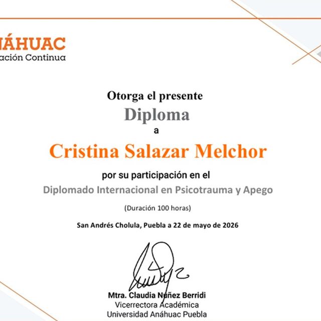 Ampliar imagen: certificate 5