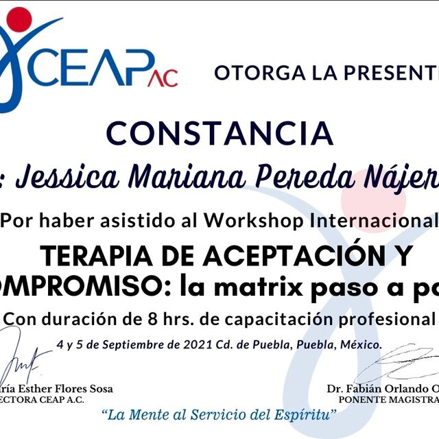 Ampliar imagen: certificate 1