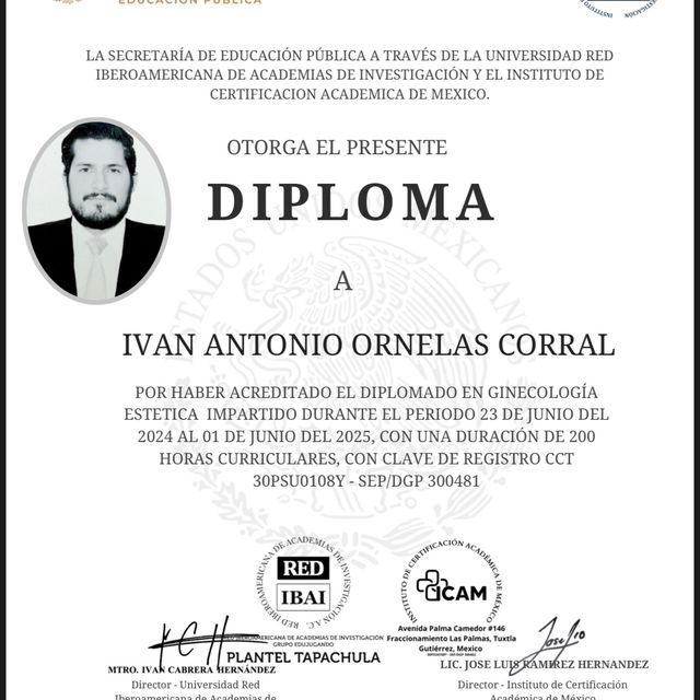 Ampliar imagen: certificate 23