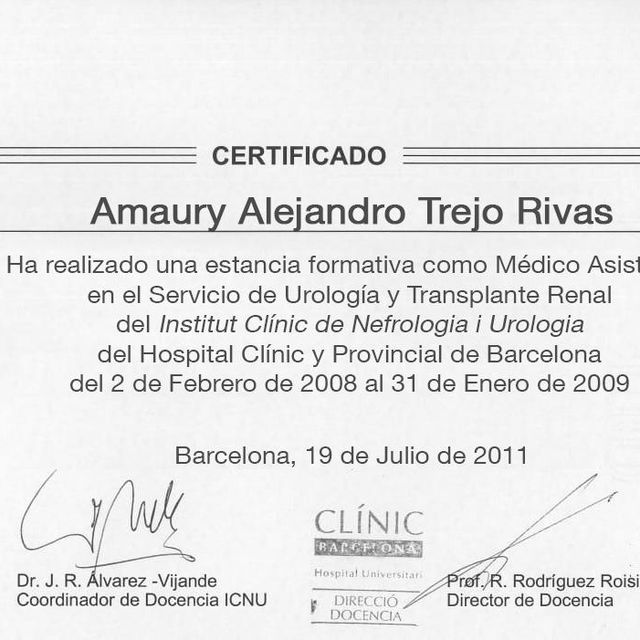 Ampliar imagen: certificate 3