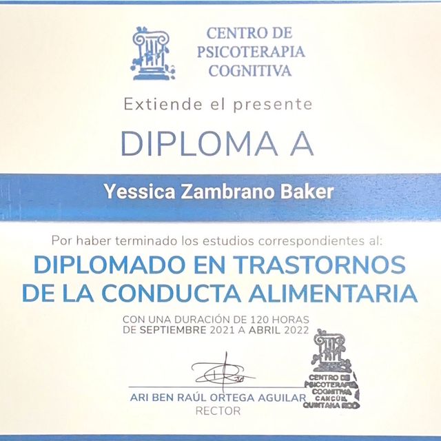Ampliar imagen: certificate 4