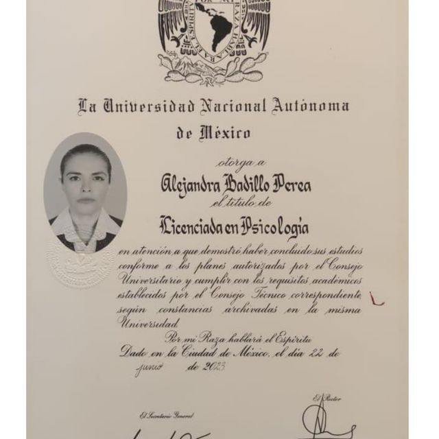 Ampliar imagen: certificate 2