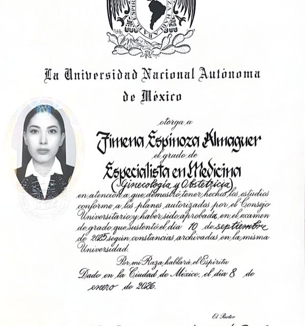 Ampliar imagen: certificate 2