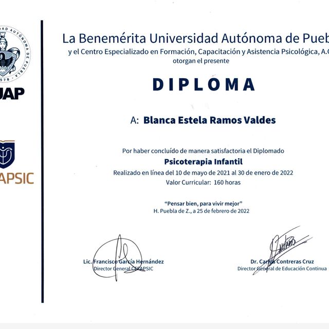 Ampliar imagen: certificate 1