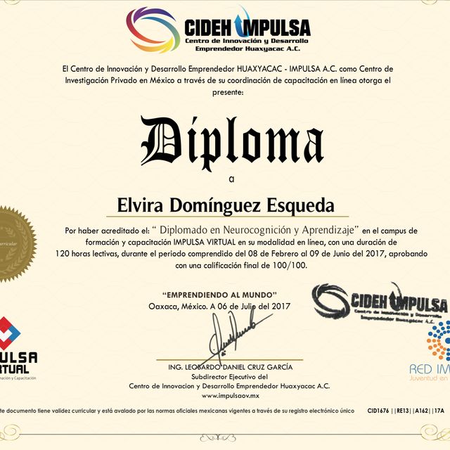 Ampliar imagen: certificate 1