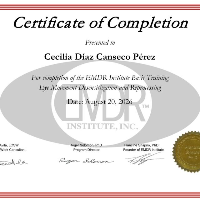 Ampliar imagen: certificate 6