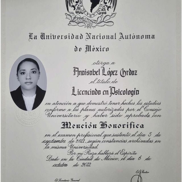 Ampliar imagen: certificate 1