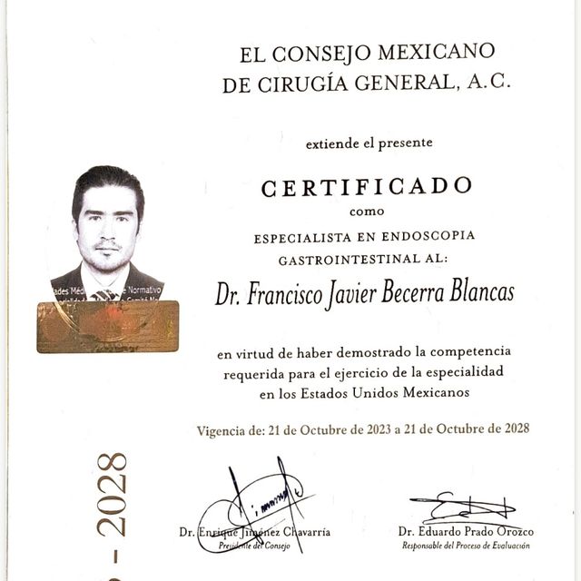 Ampliar imagen: certificate 2