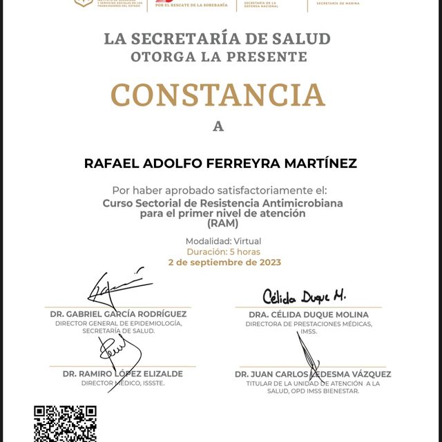 Ampliar imagen: certificate 11