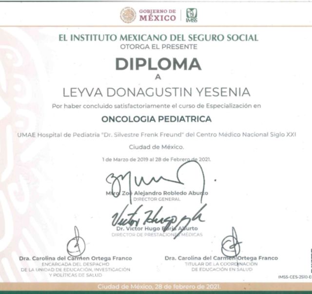 Ampliar imagen: certificate 8