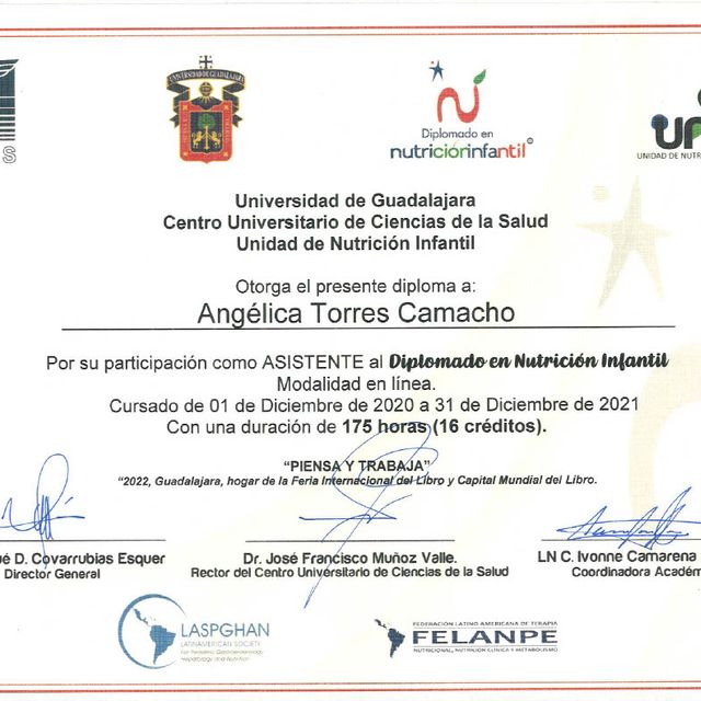 Ampliar imagen: certificate 2