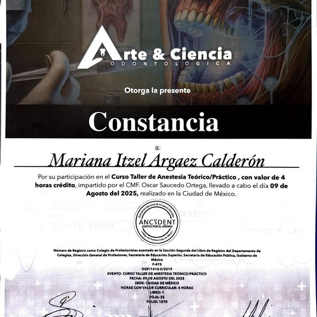 Ampliar imagen: certificate 2