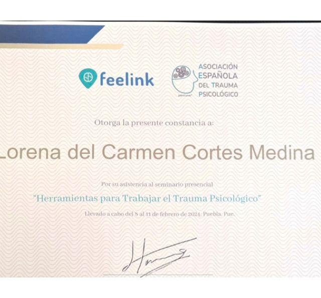 Ampliar imagen: certificate 3