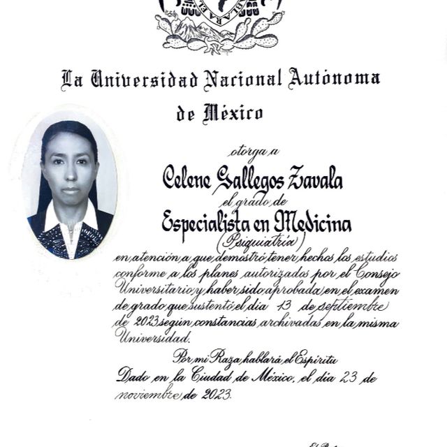 Ampliar imagen: certificate 2