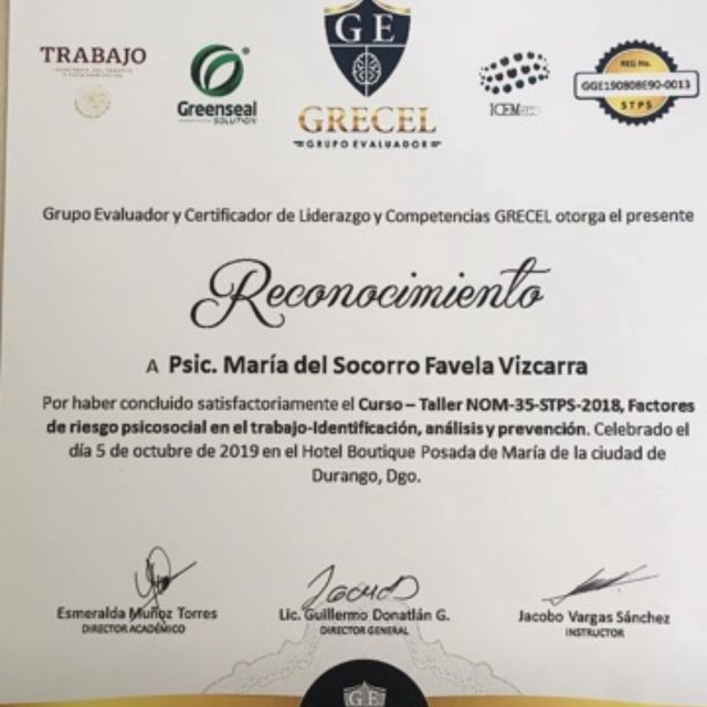 Ampliar imagen: certificate 5