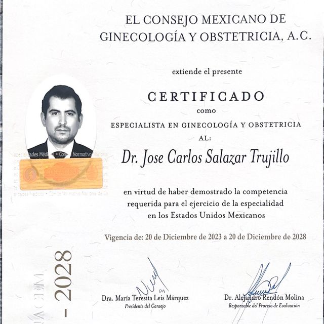 Ampliar imagen: certificate 1