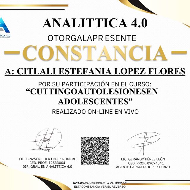 Ampliar imagen: certificate 2