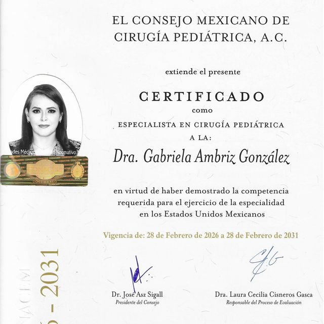 Ampliar imagen: certificate 3