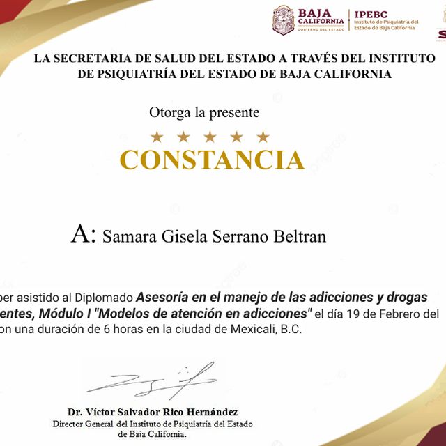 Ampliar imagen: certificate 24