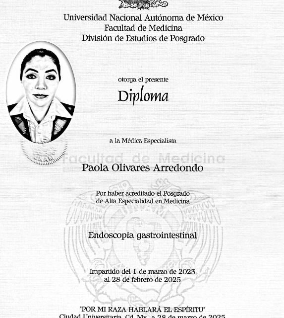 Ampliar imagen: certificate 7