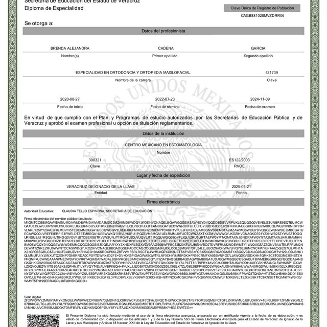 Ampliar imagen: certificate 2