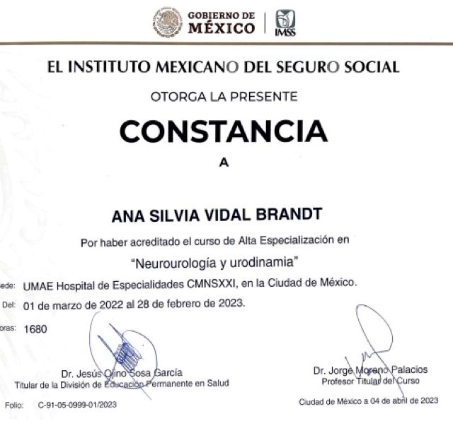 Ampliar imagen: certificate 7