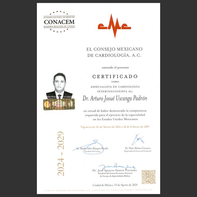 Ampliar imagen: certificate 23