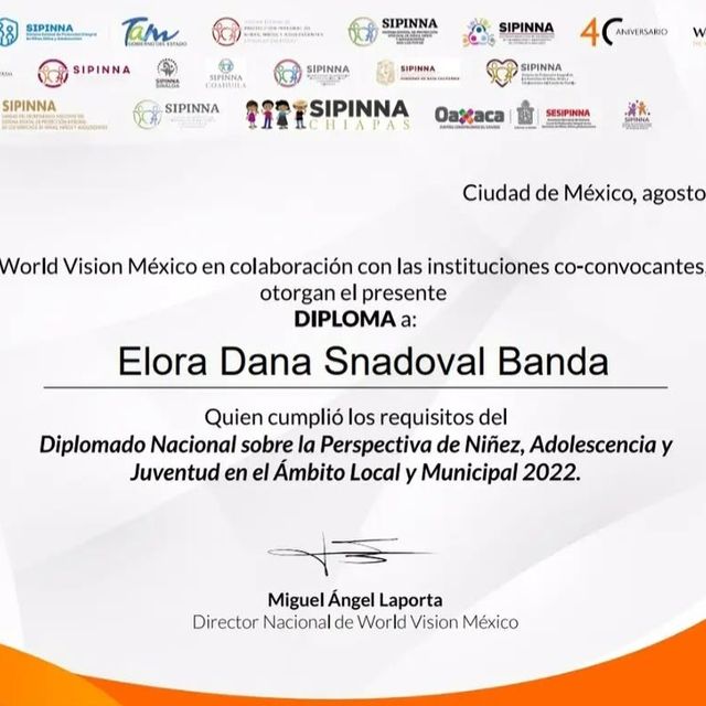 Ampliar imagen: certificate 2