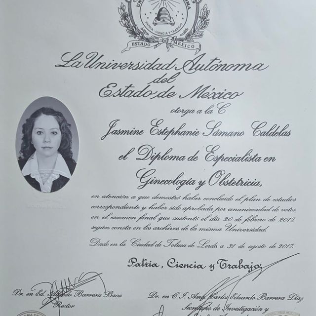 Ampliar imagen: certificate 1