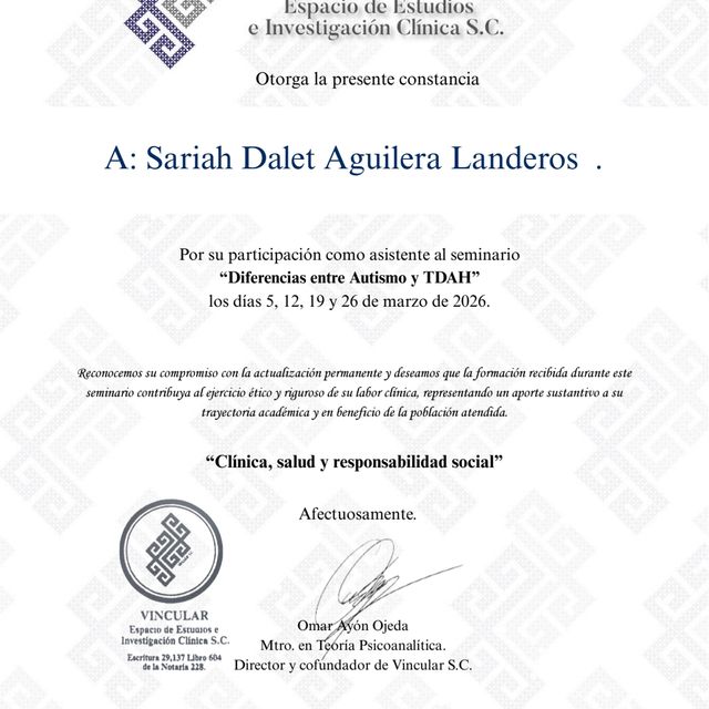 Ampliar imagen: certificate 3