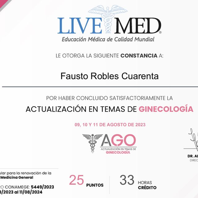 Ampliar imagen: certificate 75