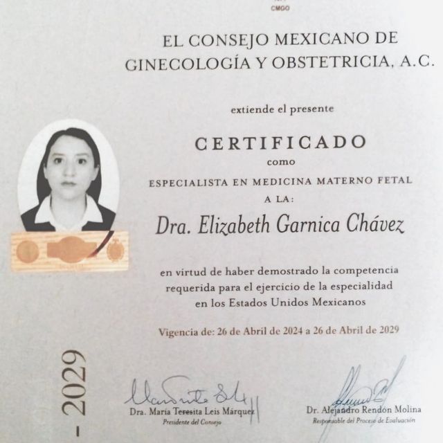 Ampliar imagen: certificate 4