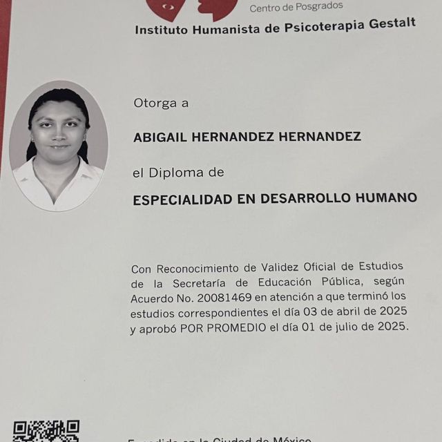 Ampliar imagen: certificate 4