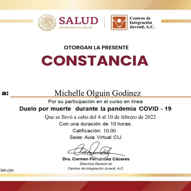 Ampliar imagen: certificate 16