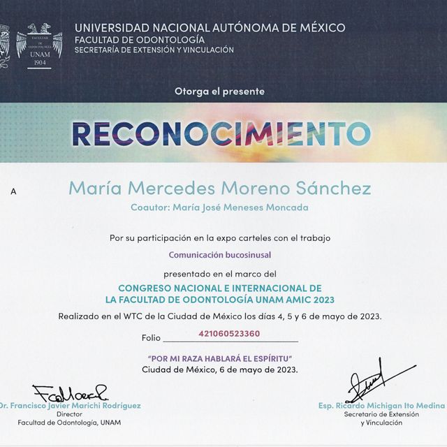Ampliar imagen: certificate 3