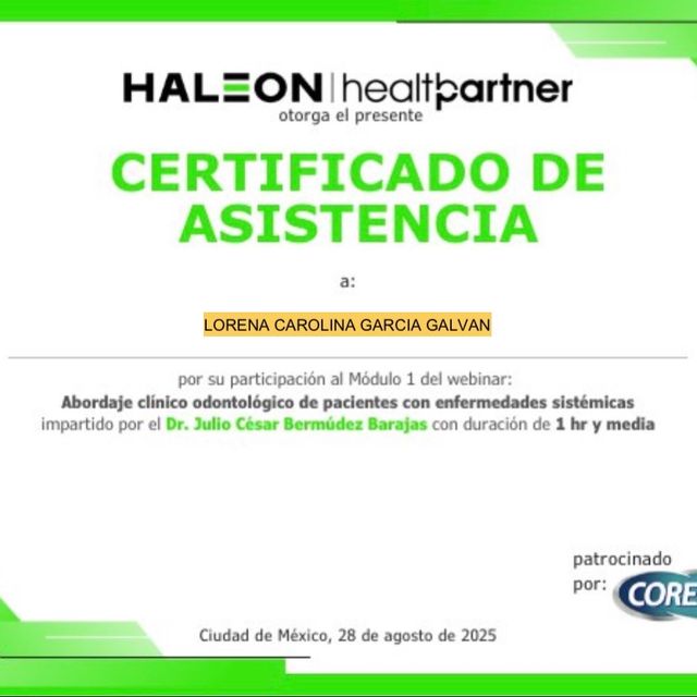 Ampliar imagen: certificate 1