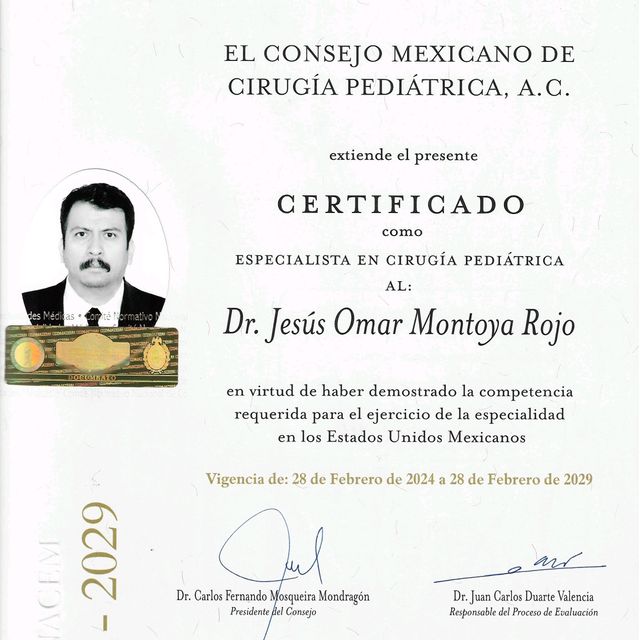 Ampliar imagen: certificate 1