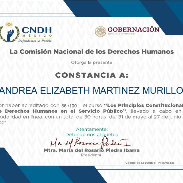 Ampliar imagen: certificate 49
