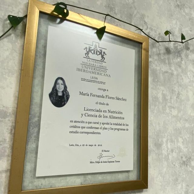 Ampliar imagen: certificate 3