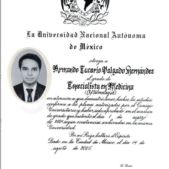 Ampliar imagen: certificate 3