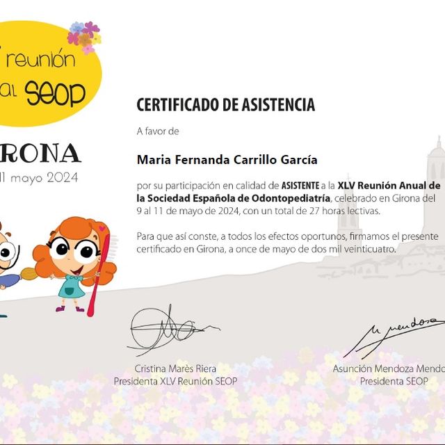 Ampliar imagen: certificate 9