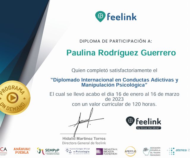 Ampliar imagen: certificate 2