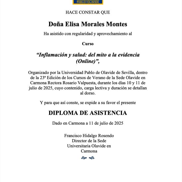 Ampliar imagen: certificate 26