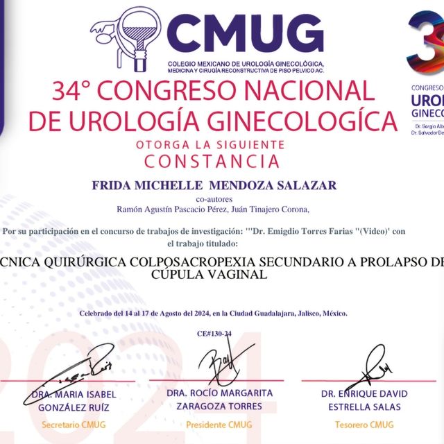 Ampliar imagen: certificate 23