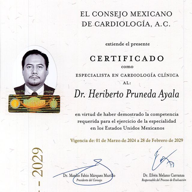 Ampliar imagen: certificate 1