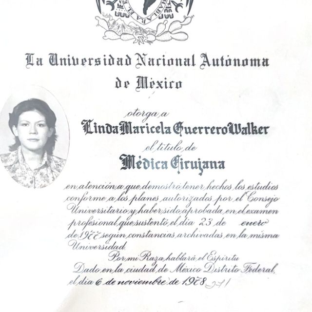 Ampliar imagen: certificate 2