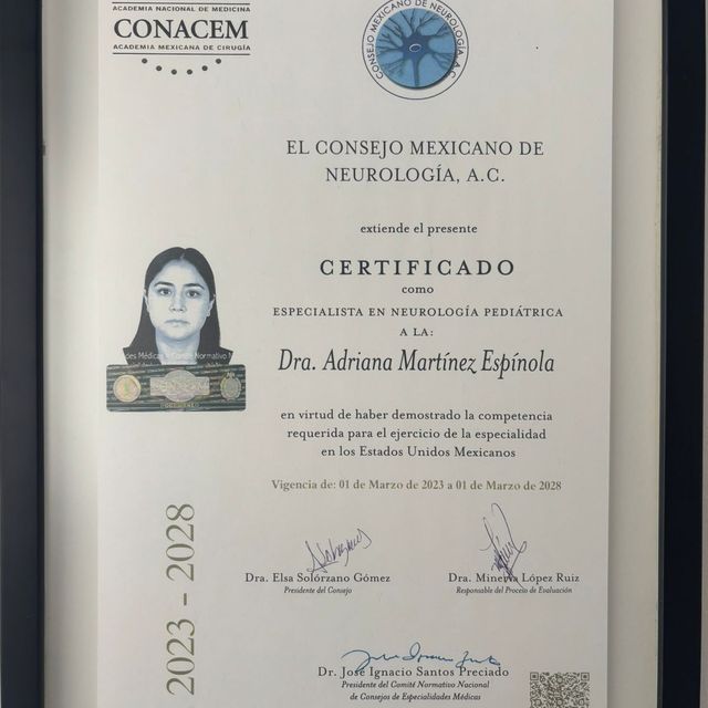 Ampliar imagen: certificate 1